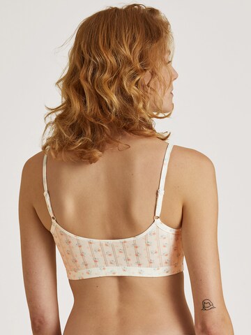 CALIDA Bustier BH i blandingsfarvet