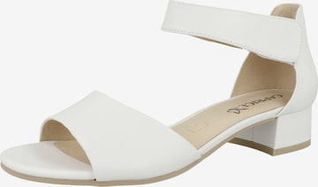 CAPRICE Sandals in White: front