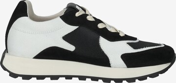 Sneaker bassa di BULLBOXER in nero