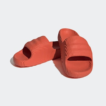 sarkans ADIDAS ORIGINALS Ādas čības 'Adilette 22'