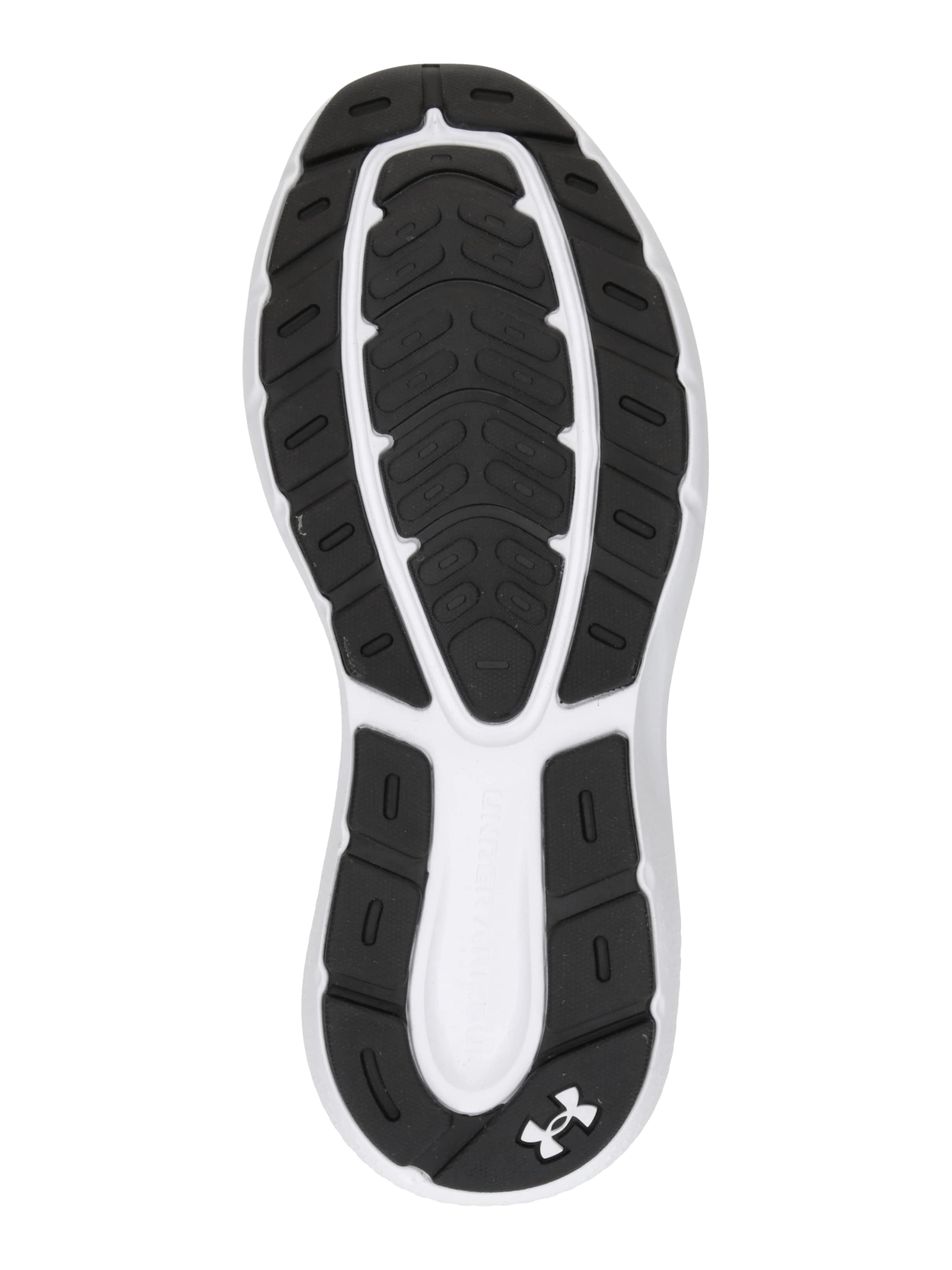 Chaussure de course 'Rogue 5' UNDER ARMOUR en blanc