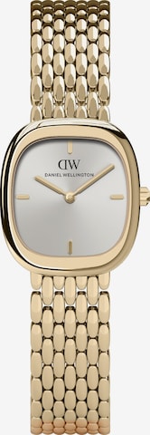 Daniel Wellington Uhr in Gold: Vorderseite