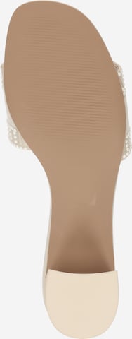 STEVE MADDEN Pantolette 'KNOXIE-P' i beige