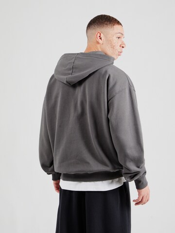 Pegador Sweatshirt in Grau