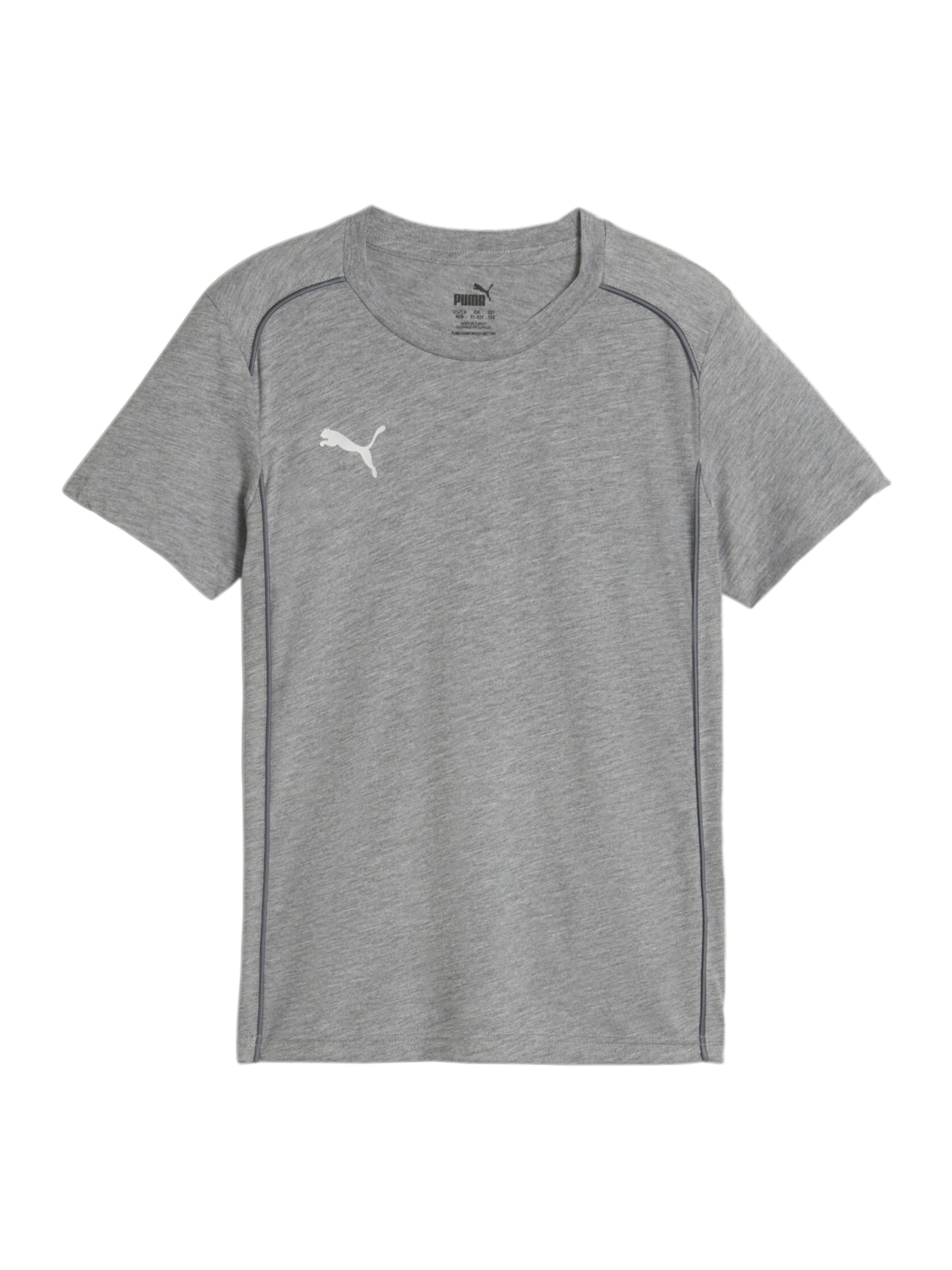 PUMA Funktionsshirt in Grau: Vorderseite