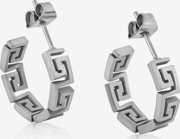 Akitsune Earrings 'Argius' in Silver: front