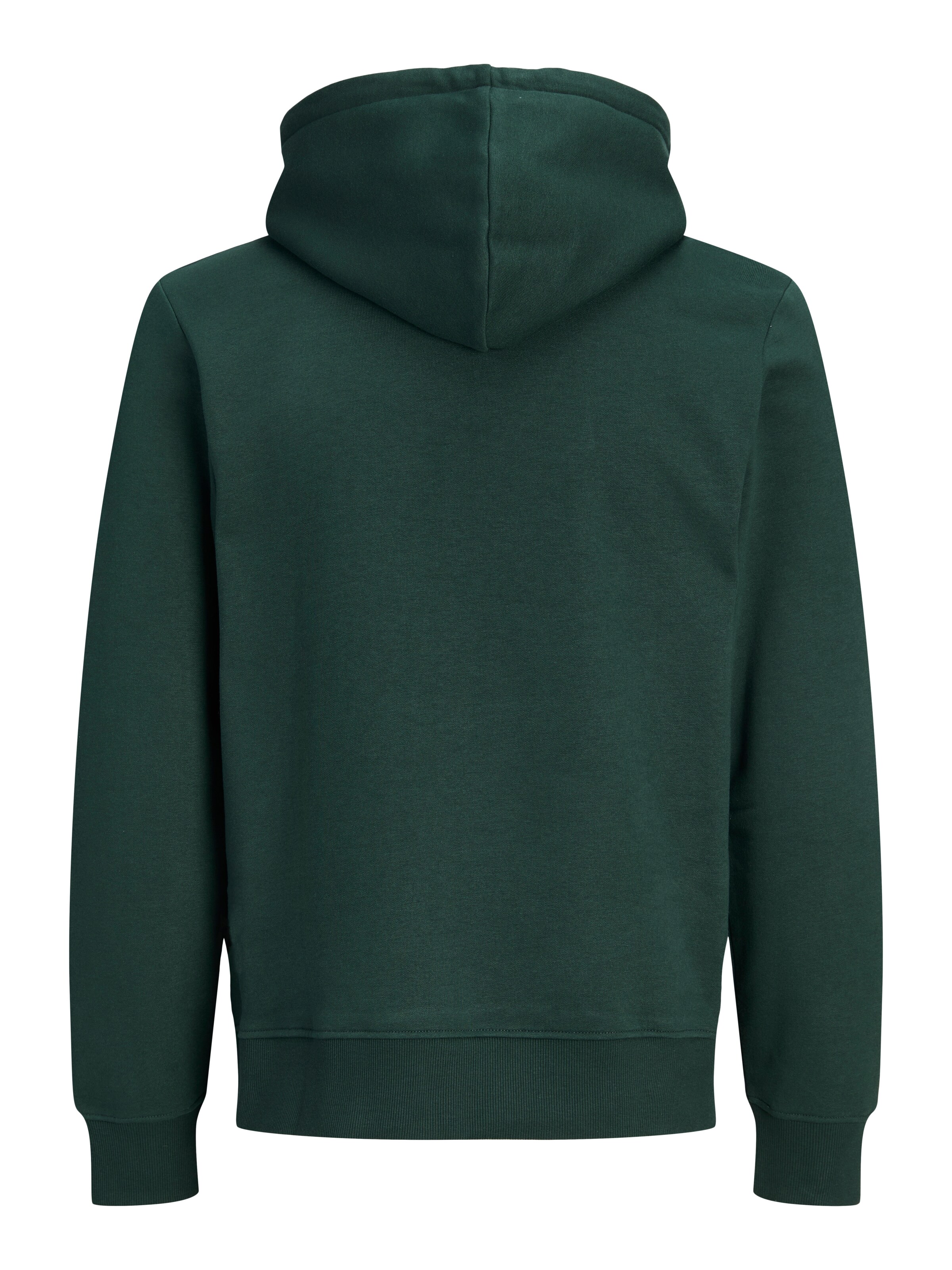 JACK & JONES Sweatshirt in Green