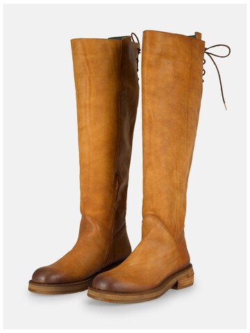 Cuissardes 'Catrin T011' FELMINI en marron