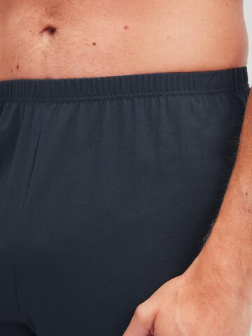 CALIDA Pyjama lang 'Cotton Special'‌‌‌‌‌‌‌ in Grau