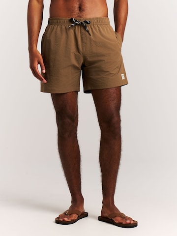 PROTEST Swimming shorts 'PRTAgden' in Brown