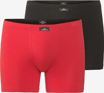 Götzburg Boxer shorts in Red: front
