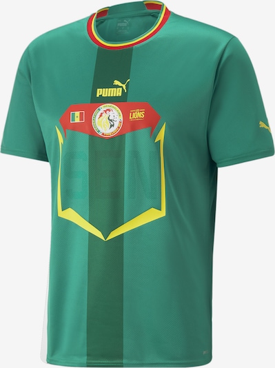 PUMA Maillot 'Senegal 22/23 Replik Auswärts' en jaune / vert / rouge, Vue avec produit