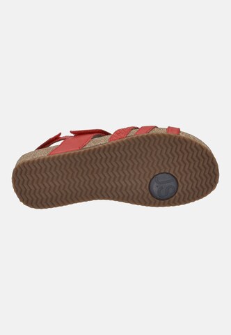 JOSEF SEIBEL Sandal 'Tonga 83' in Red