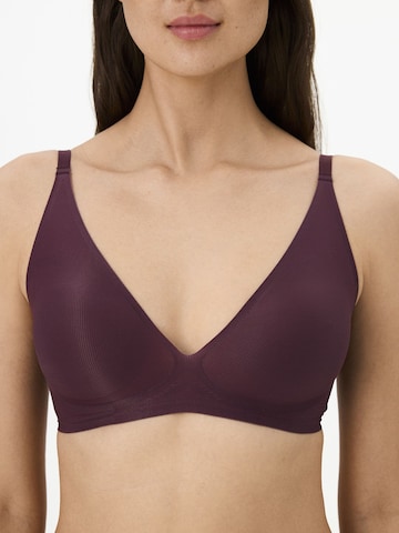 Penti Trójkąt Biustonosz 'BHs & Bralettes' w kolorze fioletowy