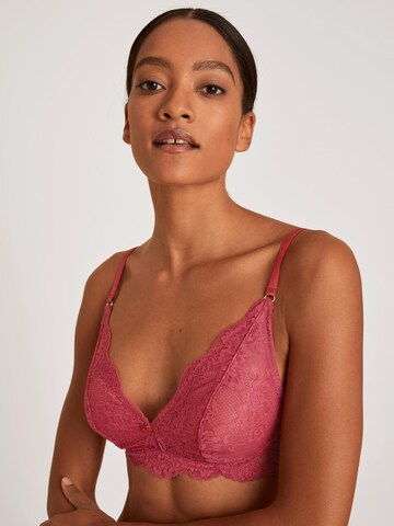 CALIDA Bralette Bra 'Modal Sense' in Red