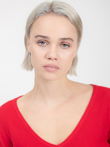 Influencer Свитер в Красный