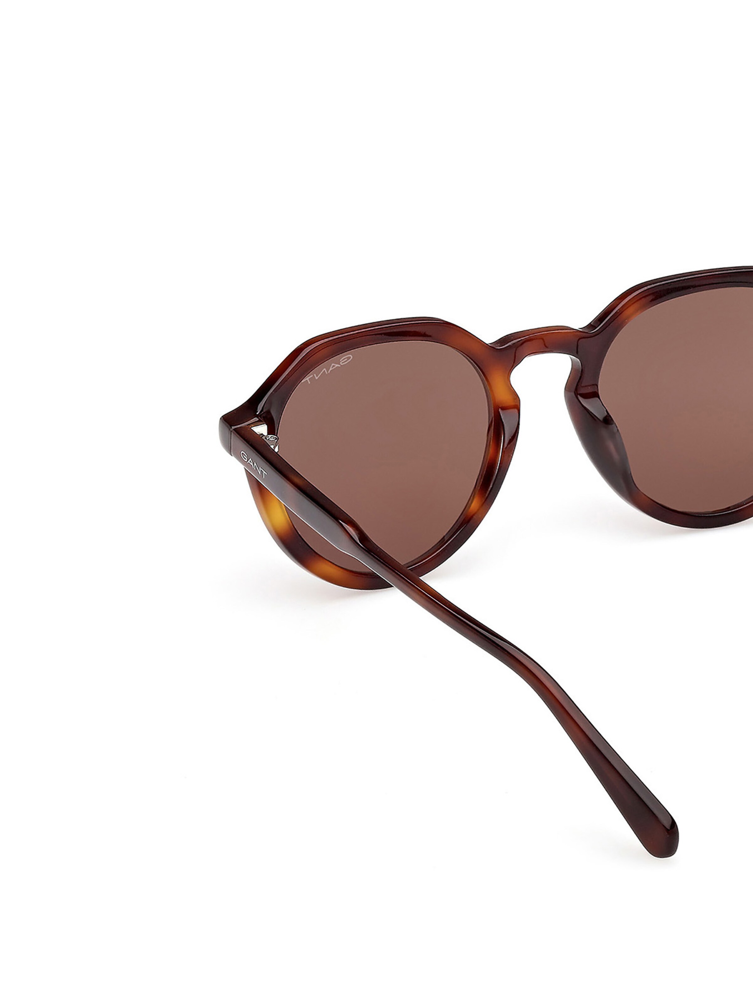 Lunettes de soleil GANT en marron