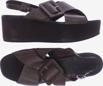 SHABBIES AMSTERDAM Sandals & High-Heeled Sandals in 41 in Brown: front