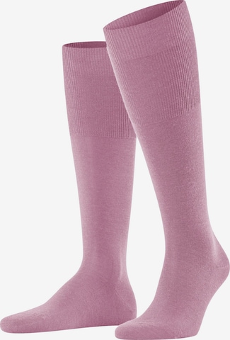 FALKE Knee High Socks 'Airport' in Pink: front