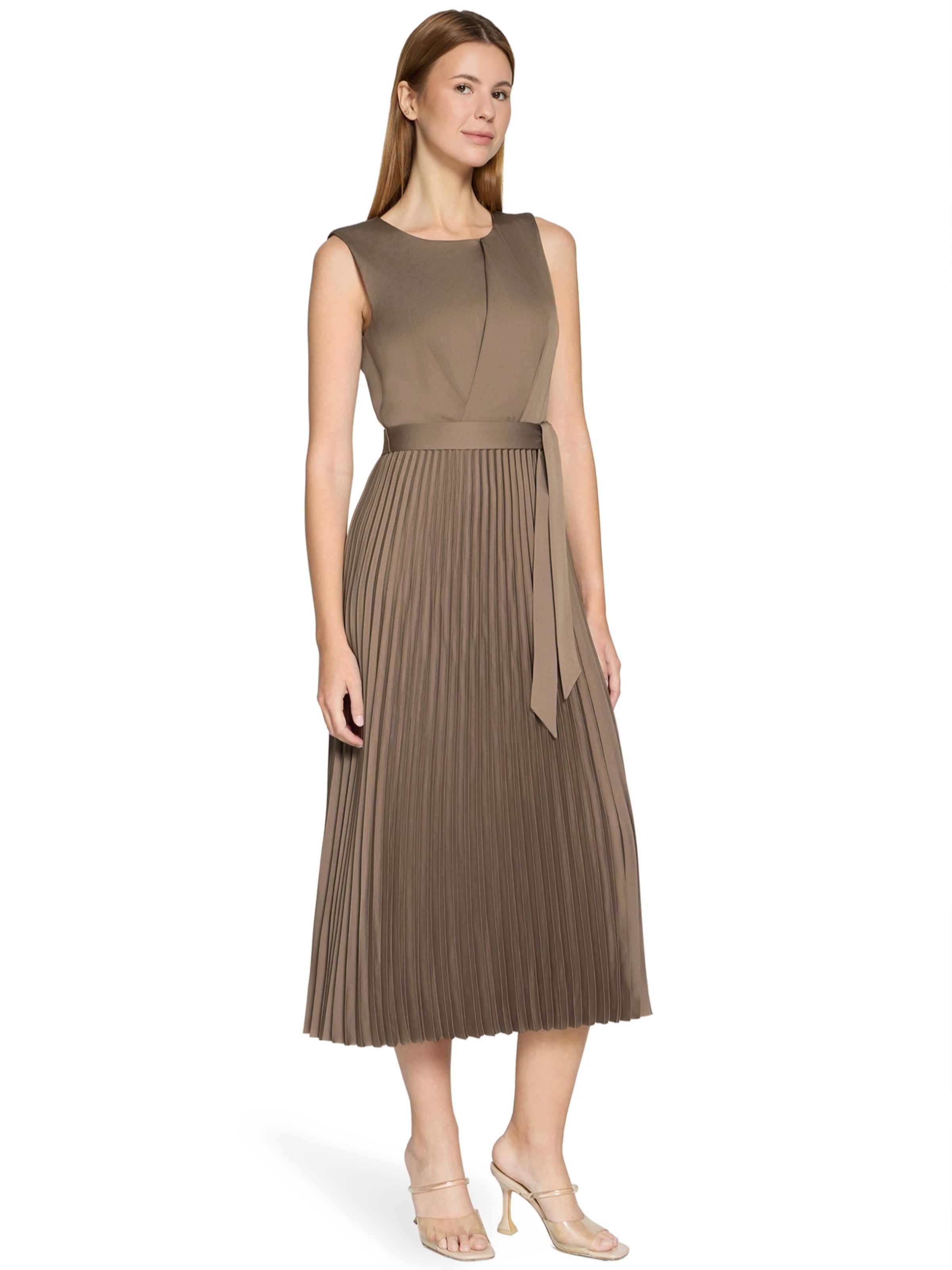 Vera Mont Dress in Brown