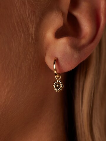 Boucles d'oreilles Lucardi en or : devant