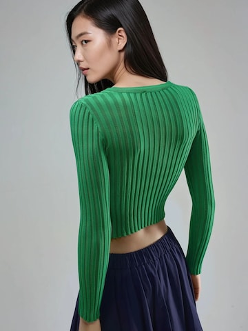Pullover 'Pullover' di My fashion in verde