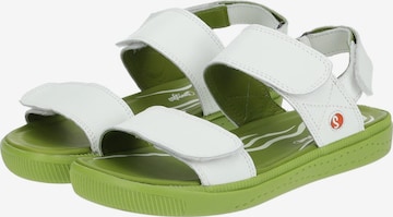 Softinos Strap Sandals in White