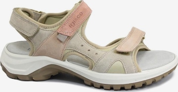 Sandalo con cinturino di IGI&CO in beige: frontale