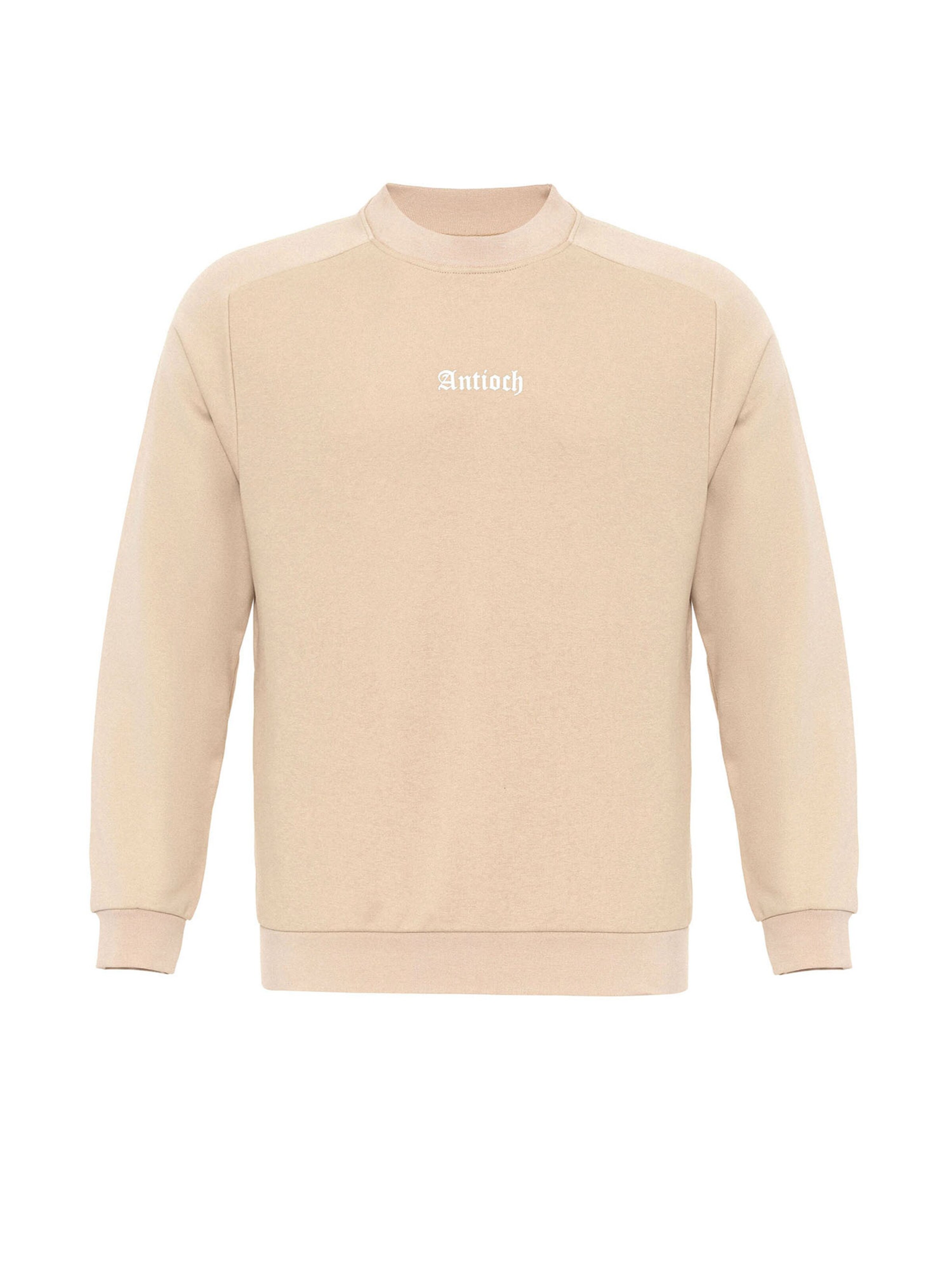 Antioch Свитшот в Бежевый: спереди
