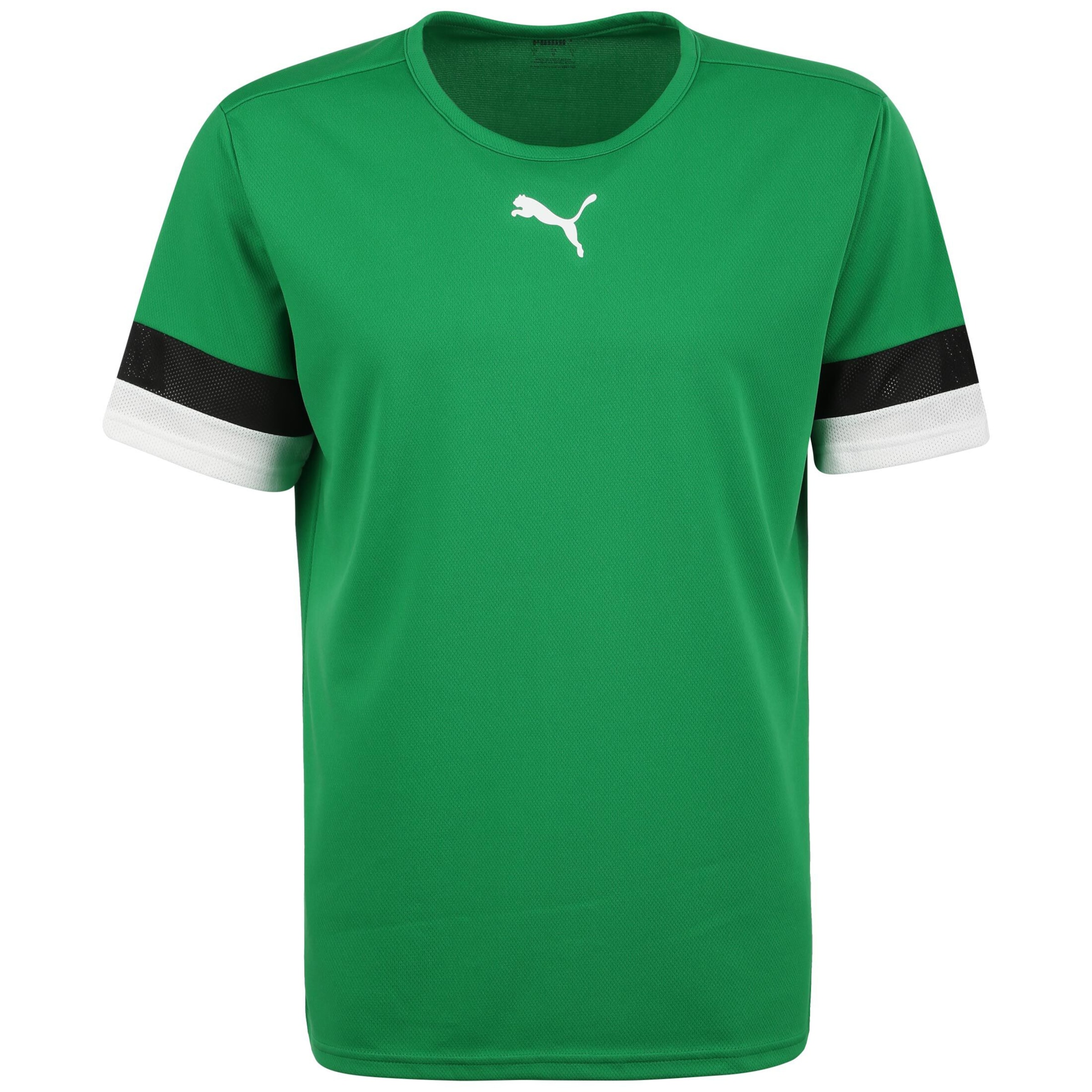 PUMA Jersey 'TeamRISE' in Green: front