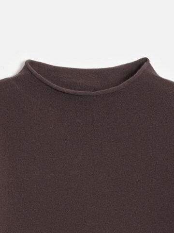 Dilvin Sweater 'Pullover' in Brown