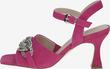 CAPRICE Sandals in Pink