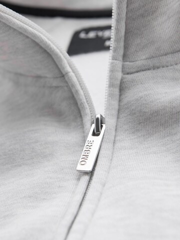 Ombre - Sudadera con cremallera en gris
