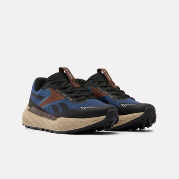 Reebok Laufschuh in Blau