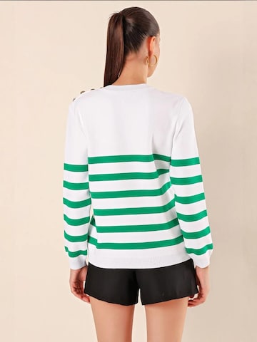 Bigdart Trui in Groen