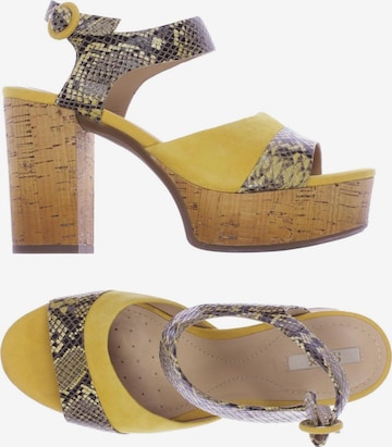 GEOX Sandals & High-Heeled Sandals in 36 in Yellow: front