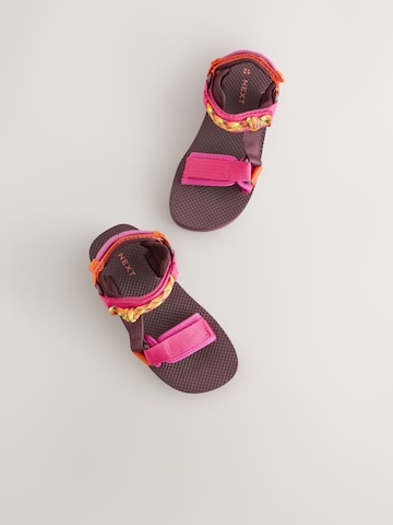Next Sandal in Purple