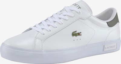 LACOSTE Sneaker in grasgrün / rot / weiß, Produktansicht