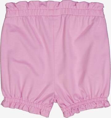 Fred's World by GREEN COTTON Regular Stoffshorts '2er-Pack' in Lila