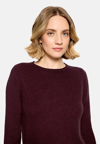 Cartoon Pullover in Braun