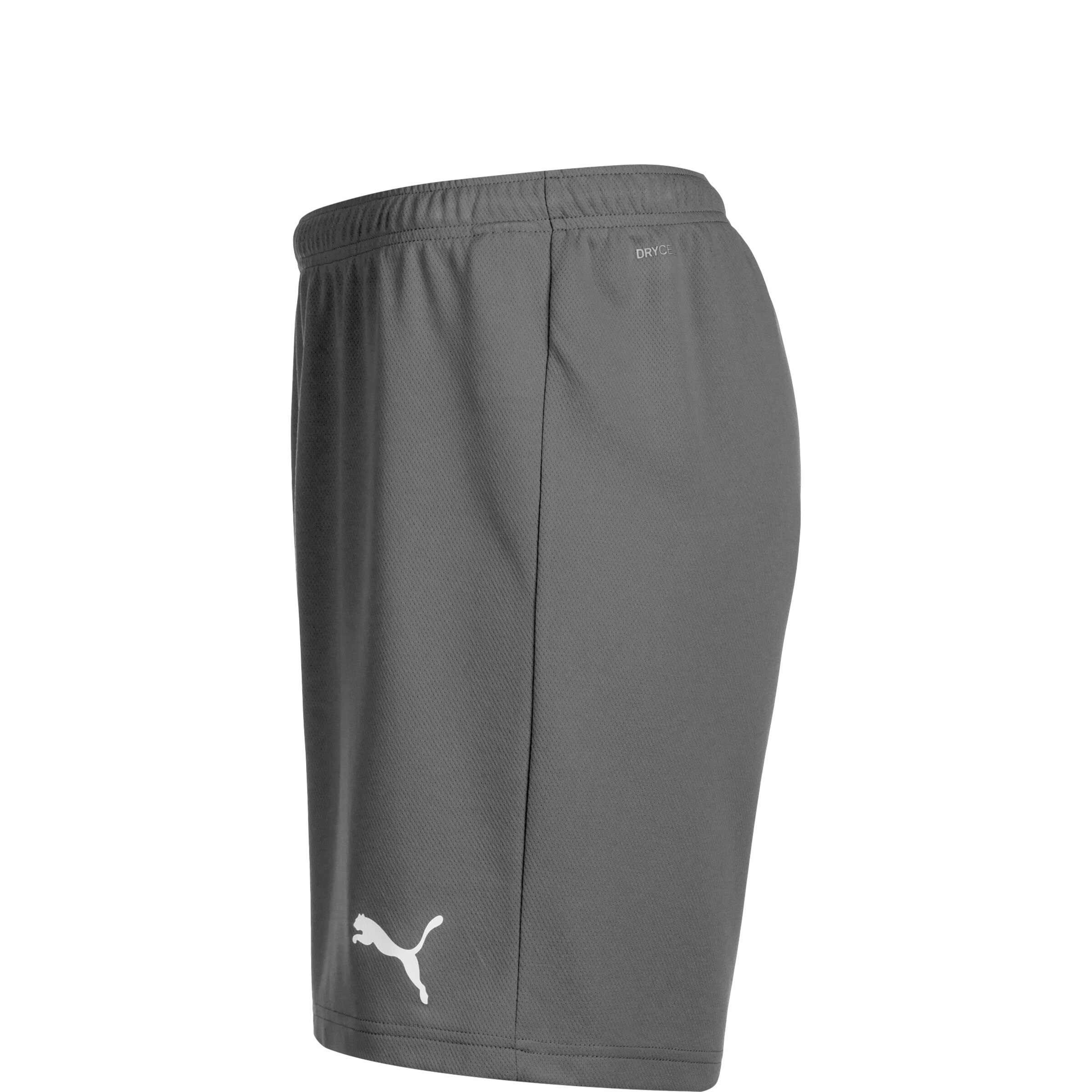 PUMA Regular Workout Pants 'TeamRise' in Grey
