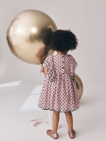 Next Kleid in Pink