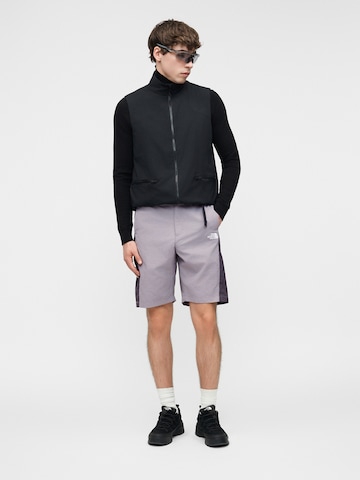 Regular Pantaloni de la THE NORTH FACE pe gri