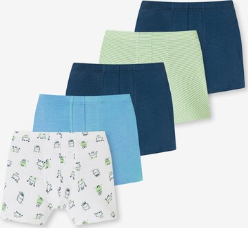 SCHIESSER Underpants ' 95/5 Organic Cotton ' in Mixed colors: front