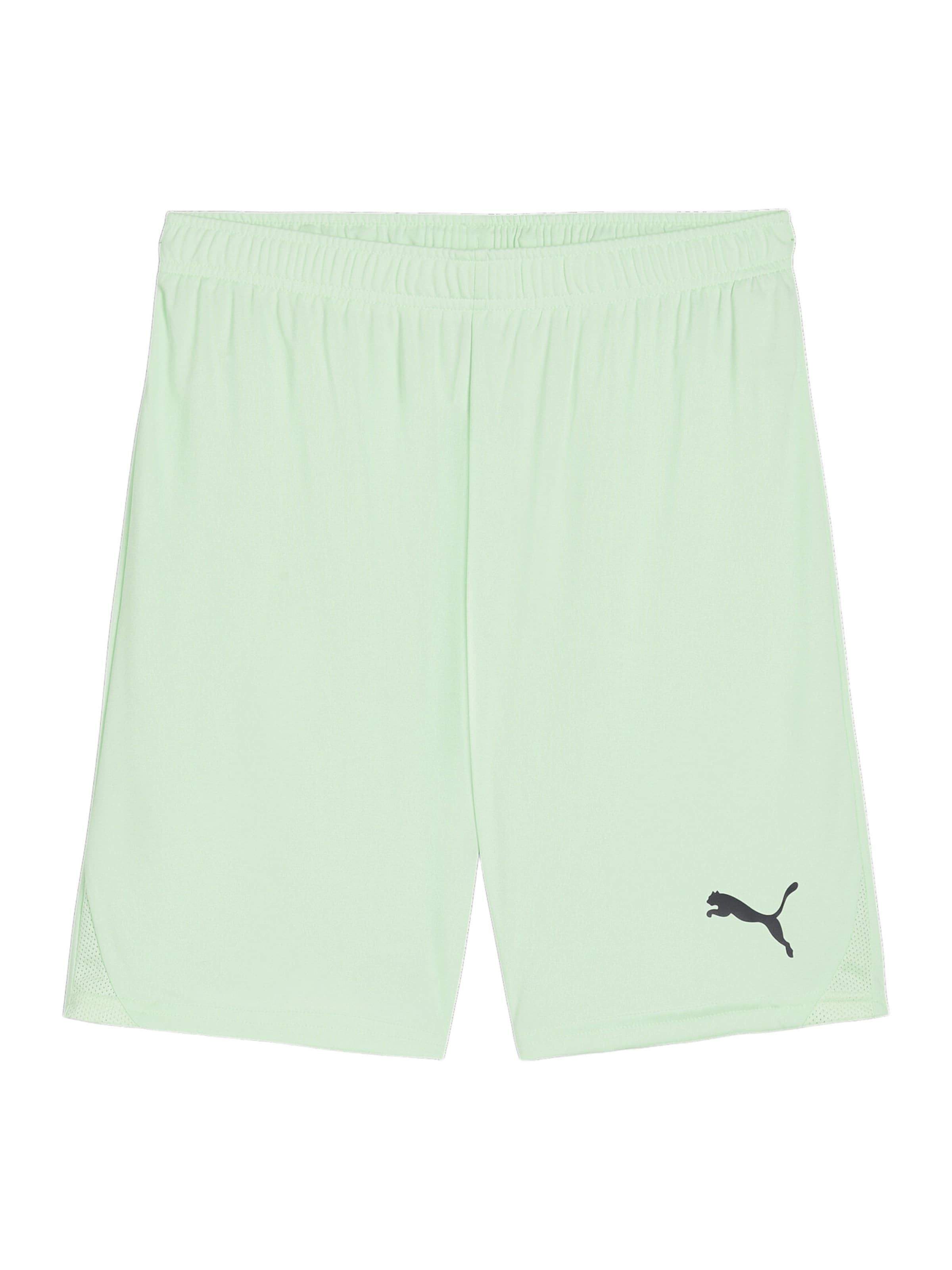 PUMA Sporthose in Grün: Vorderseite