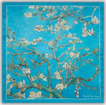 donum Kaulaliina 'Vincent van Gogh' värissä sininen: etupuoli