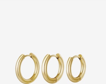 Cala Rose Earrings 'BASIC SET' in Gold: front