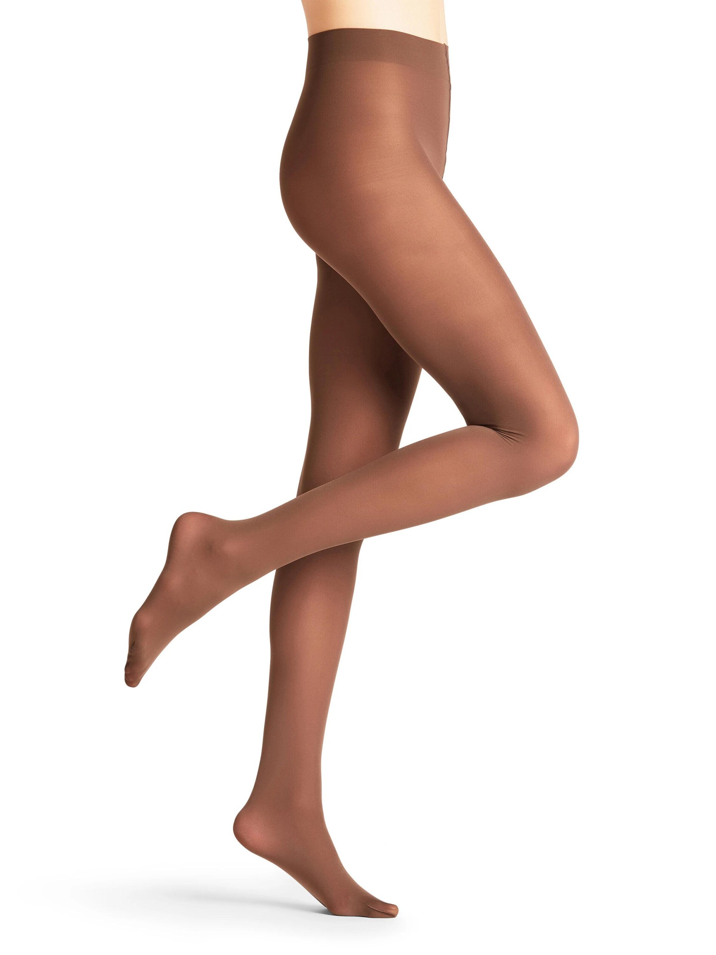 FALKE Strumpfhose 'Pure Matt'‌‌‌‌‌‌ in Braun