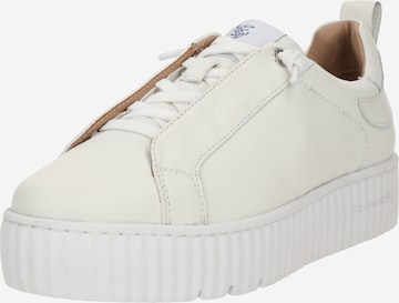 Baskets basses SALAMANDER en blanc : devant