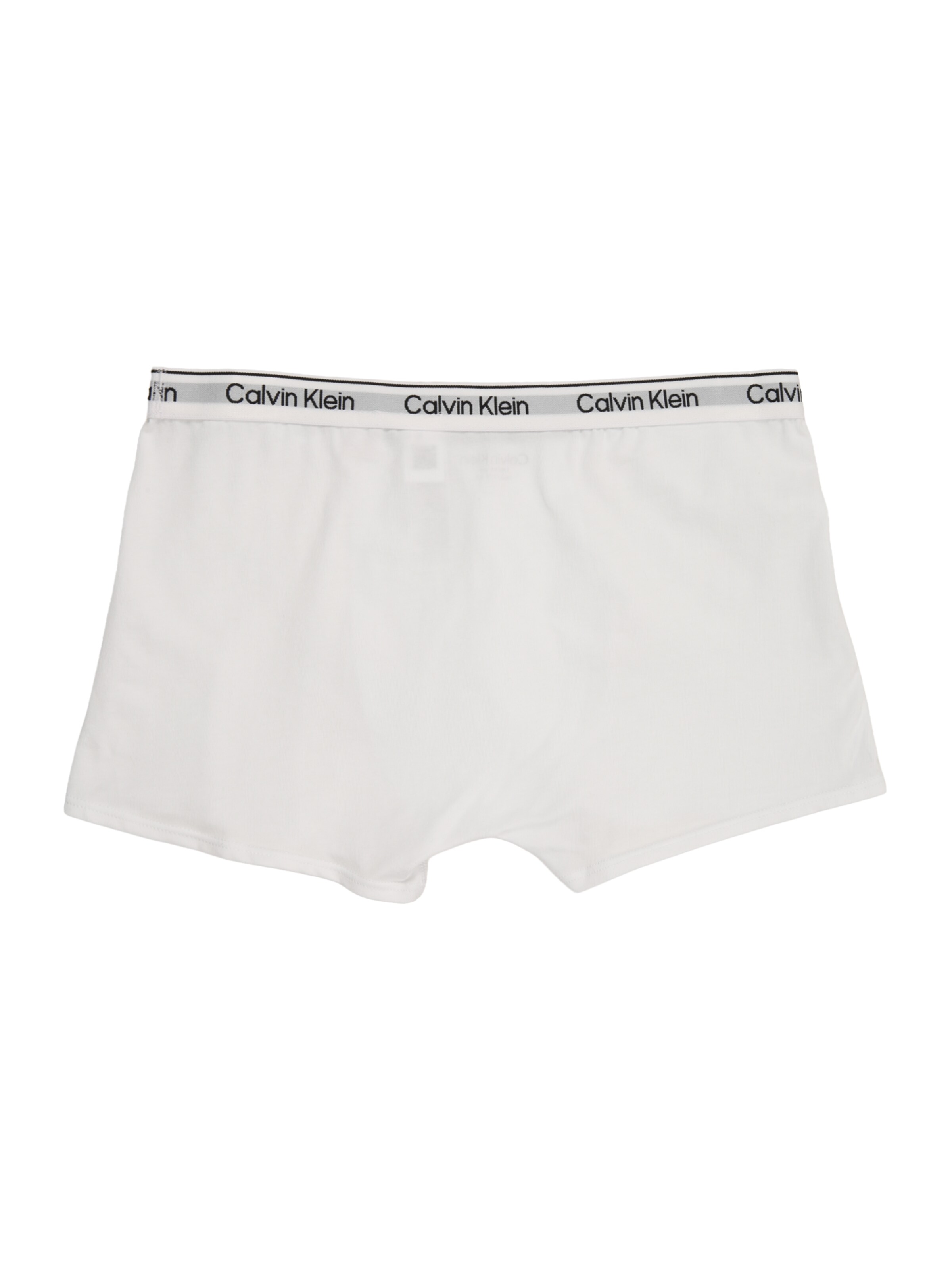 Calvin Klein Underwear Boxershorts in Grau